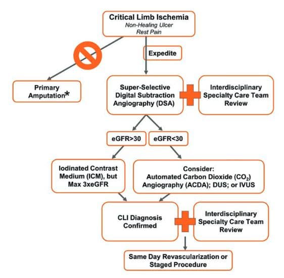 figure 1 - proper path to amputation
