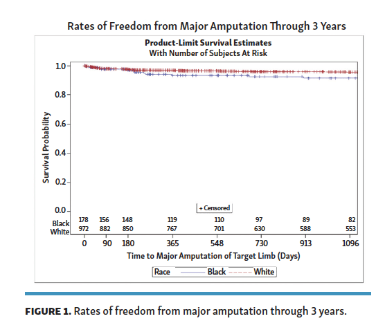 Racial Disparities in Risk for Major Amputation or Death After Endovascular Interventions for Peripheral Artery Disease: A LIBERTY 360 Study