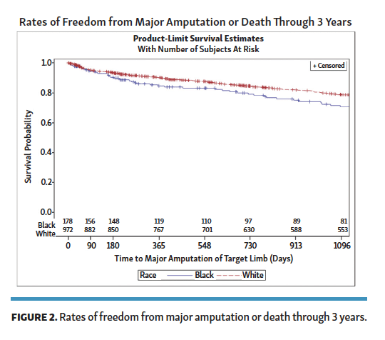 Racial Disparities in Risk for Major Amputation or Death After Endovascular Interventions for Peripheral Artery Disease: A LIBERTY 360 Study