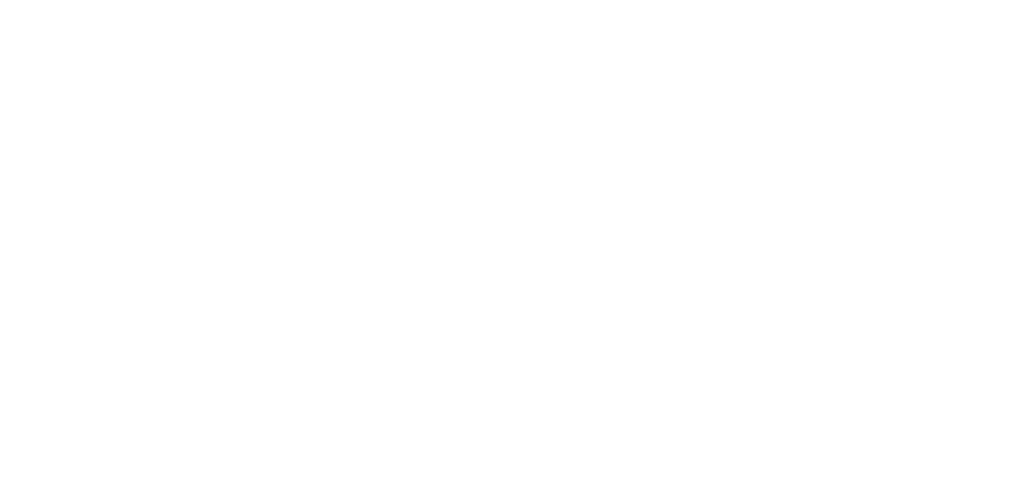 Boston Scientific - CLI Global Society Industry Partner